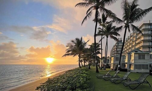 Amazing Beachfront Condo w/ AC