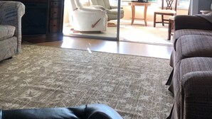 Un soggiorno con televisione, un divano, una poltrona e un tappeto decorato.