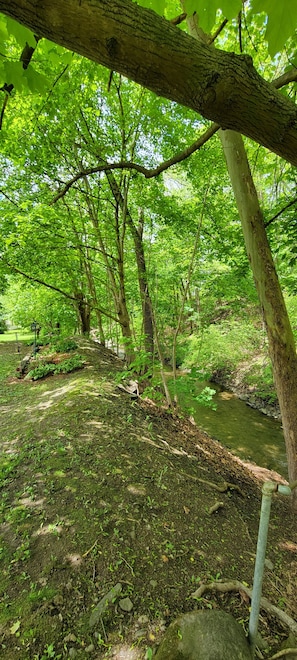 A forested area with a stream, trees, and a path. - Al's Creekside Cottage in the Finger Lakes (Montour Falls)