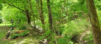 Al's Creekside Cottage in the Finger Lakes