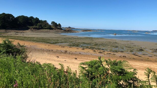 Une plage avec un ciel dégagé, un rivage sablonneux et une végétation verdoyante.