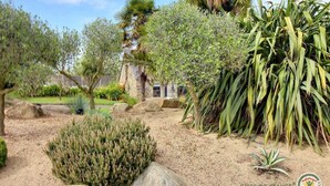 Un jardin aménagé avec différentes plantes, des rochers et un bâtiment en arrière-plan.