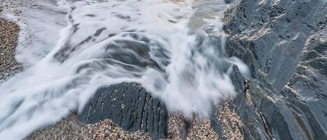 アパートメント | ビーチ