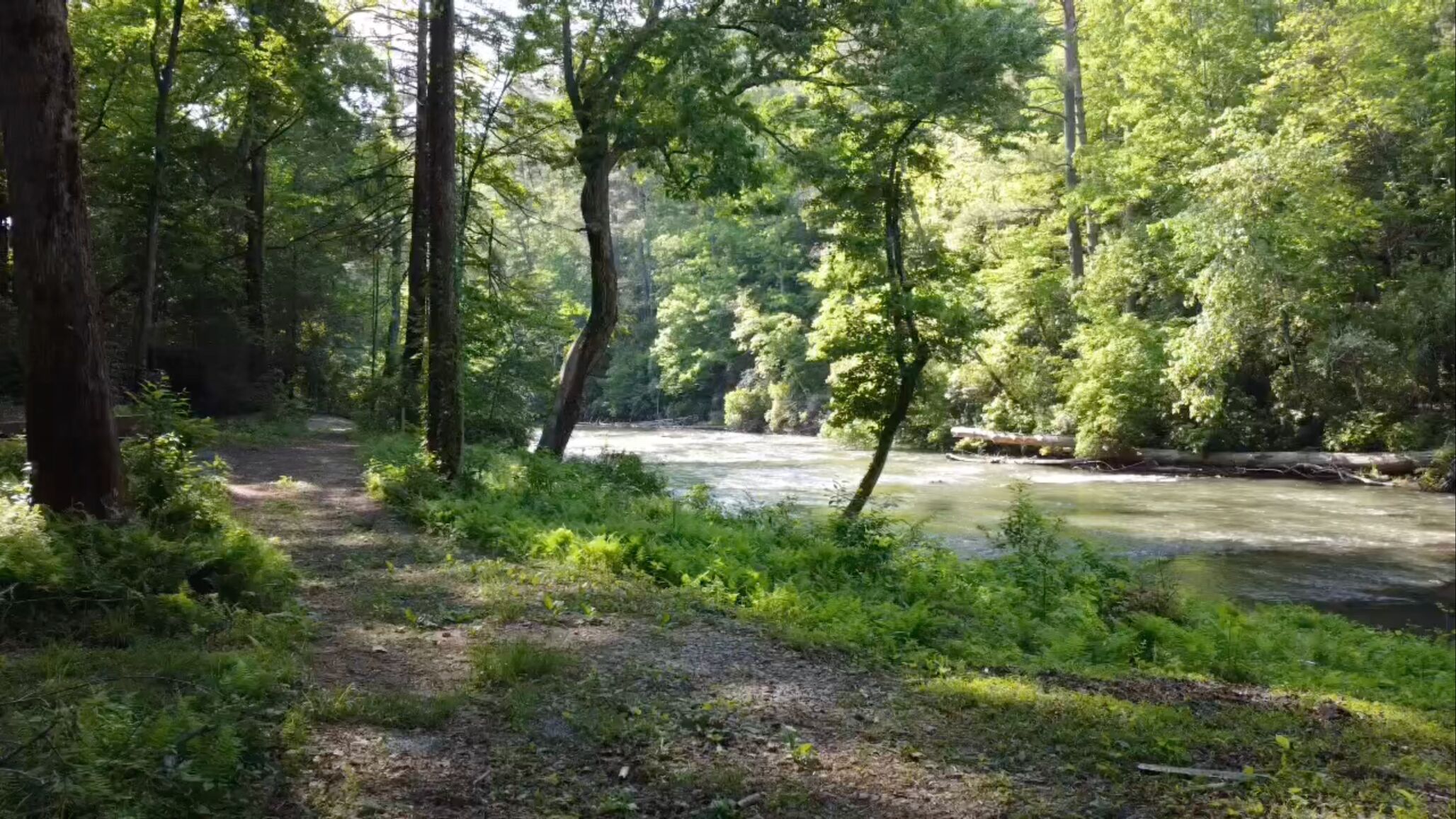 River of Dreams ~ 4BR Riverfront Home ~ Fire Pit ~ Hot Tub