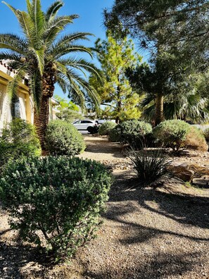 Property grounds - Large Private Home 2 Minutes from the Strip (Las Vegas)