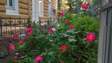 Overnattingsstedets uteområder