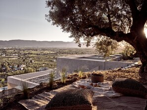 Terrain de l’hébergement 