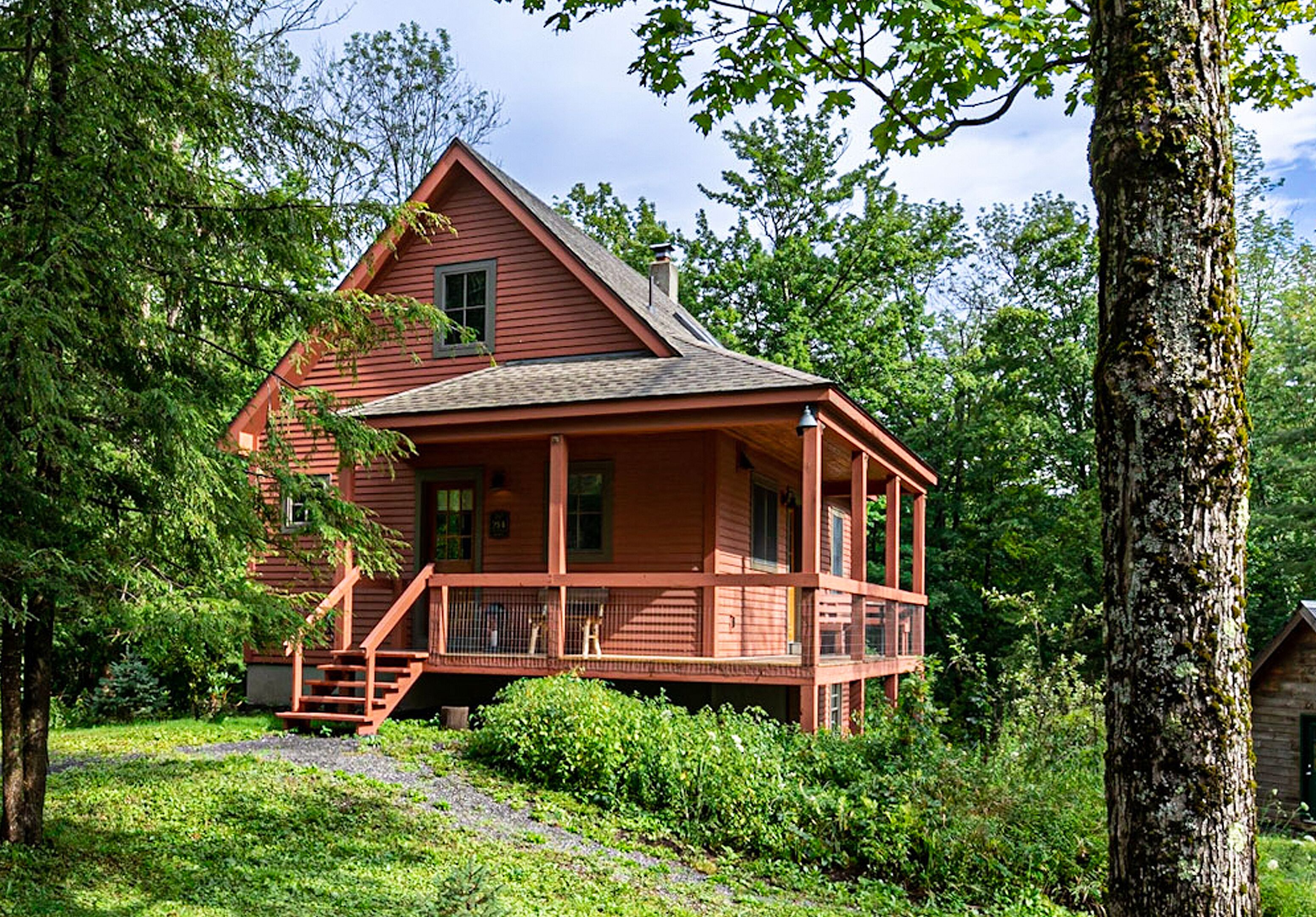 Fog Hill Cabin is a peaceful retreat set in a forest landscape. Stargazing Bliss