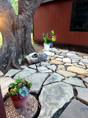Cozy cottage Style home with She Shed, walk to Coffee Cafe and Park