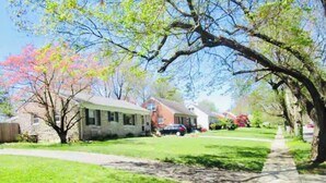 A residential street with houses, a sidewalk, and trees. - Location!! Close to Everything! Spacious and Fun! (Lexington)