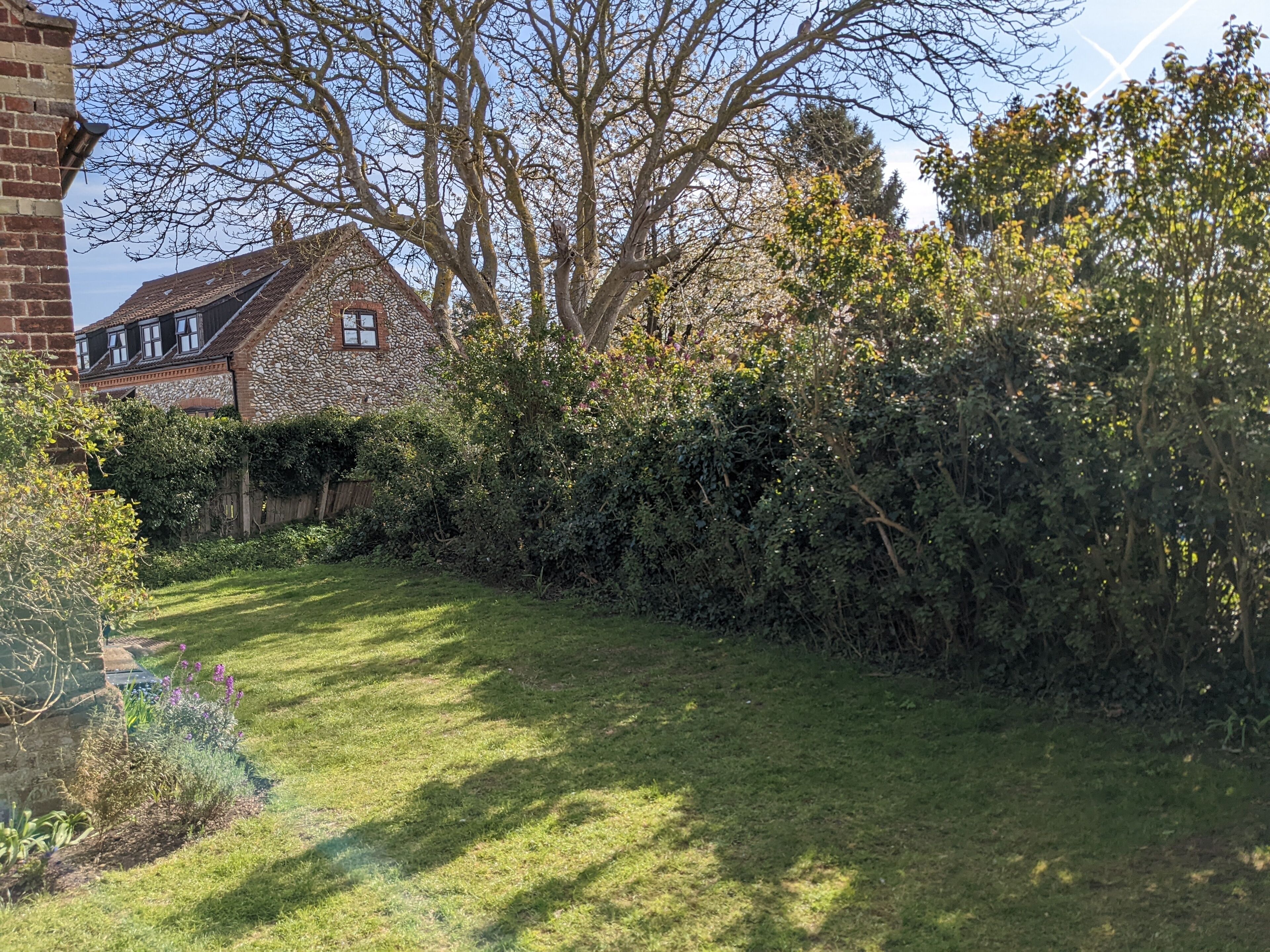 A garden with a stone house, a wooden fence, and a variety of plants.