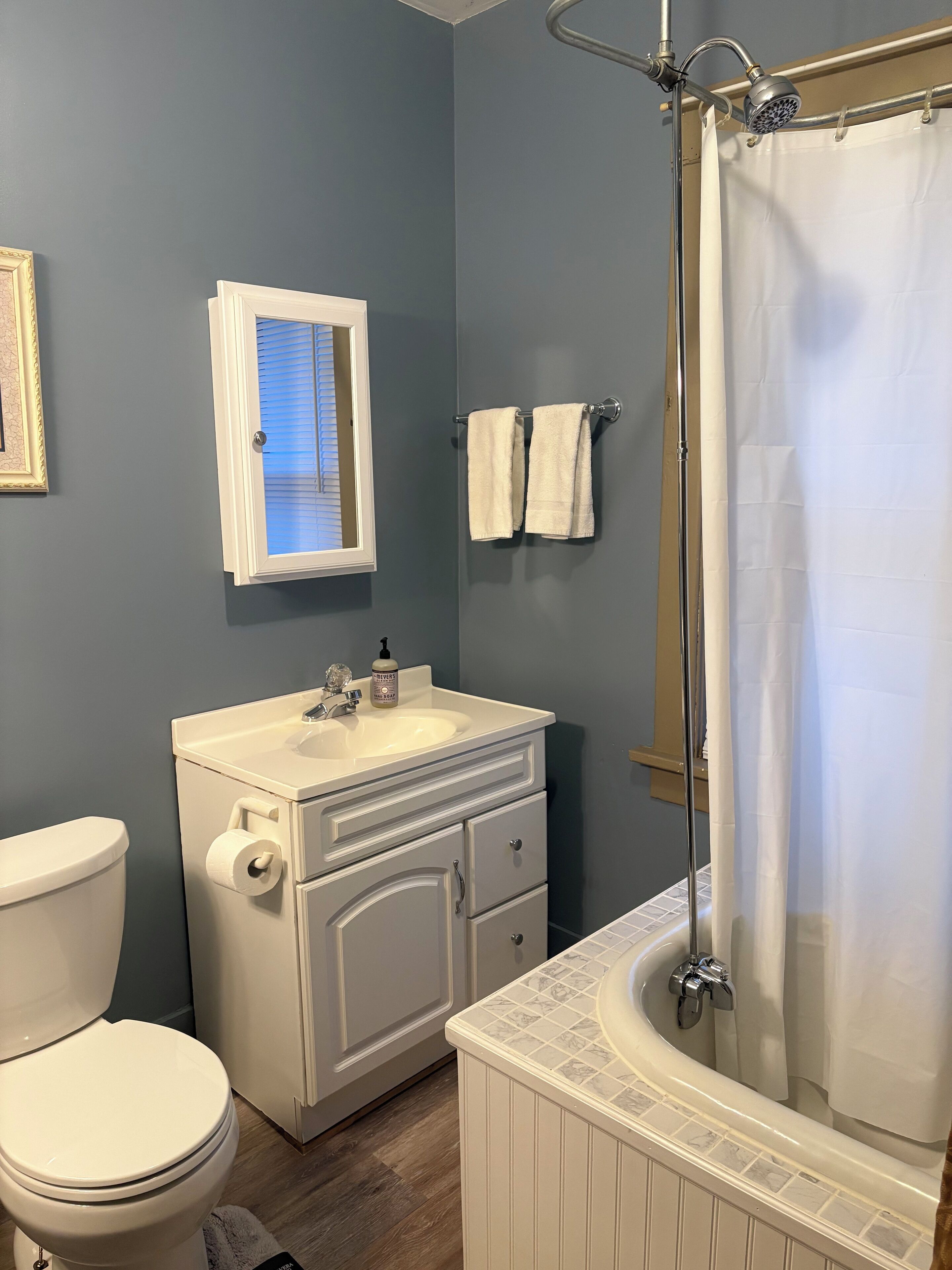 Combined shower/tub, hair dryer, towels, soap