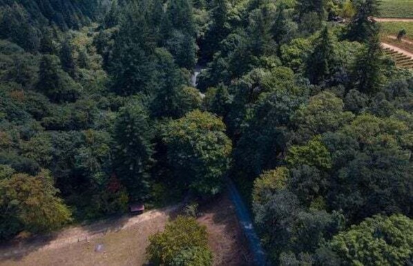 Aerial view - Fairview Cabin: 3bed/3.5ba Chalet in Wine Country! (Dundee)