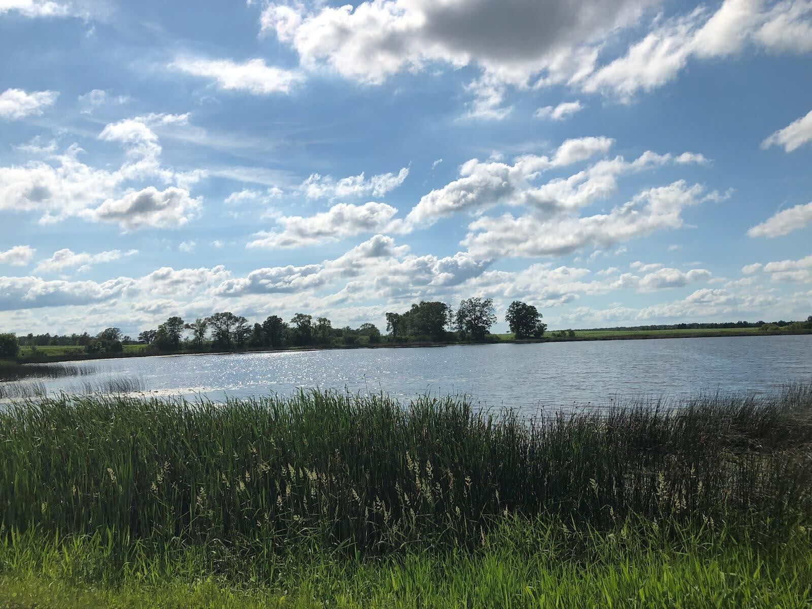 A calm lake with a grassy foreground and trees in the background under a partly cloudy sky.
