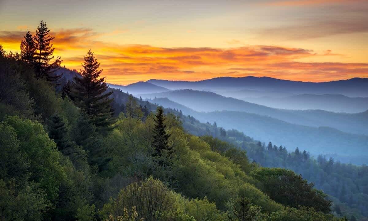 Un paysage montagneux, avec une forêt dense et un coucher de soleil.