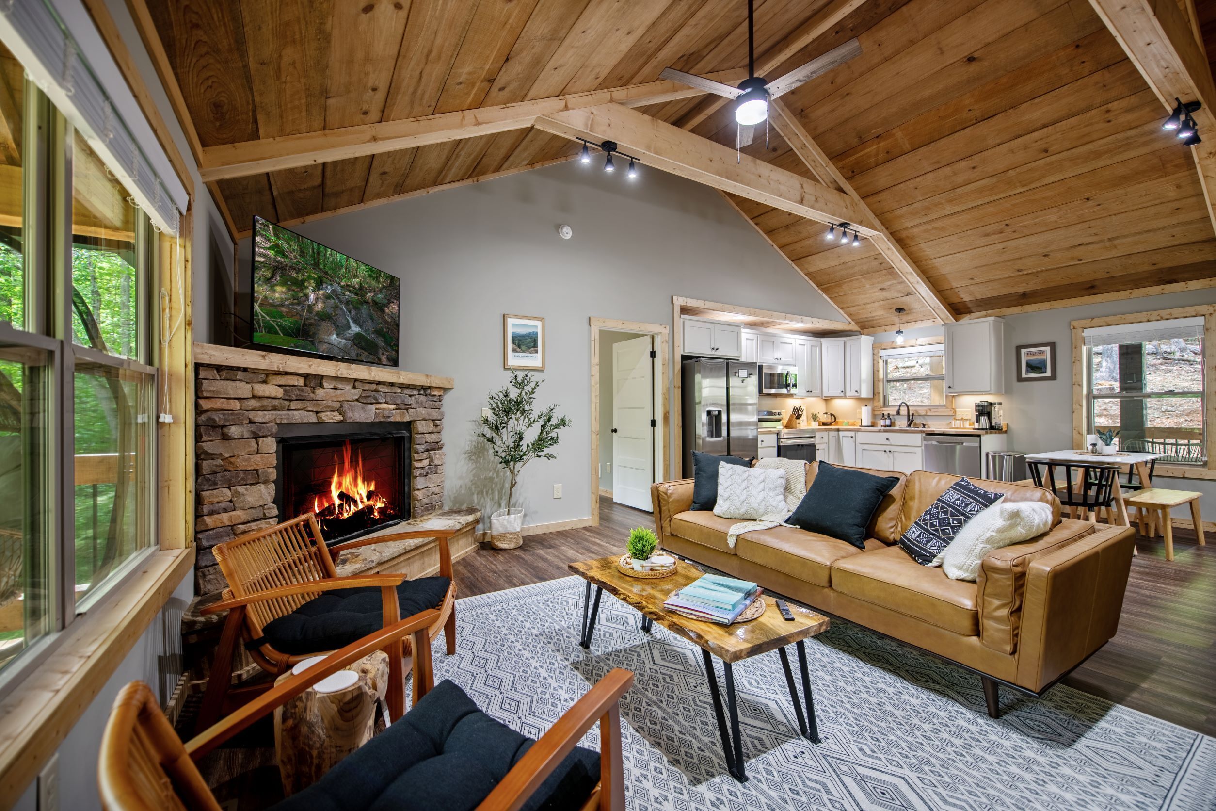 TV connectée, cheminée, jeux vidéo, médiathèque