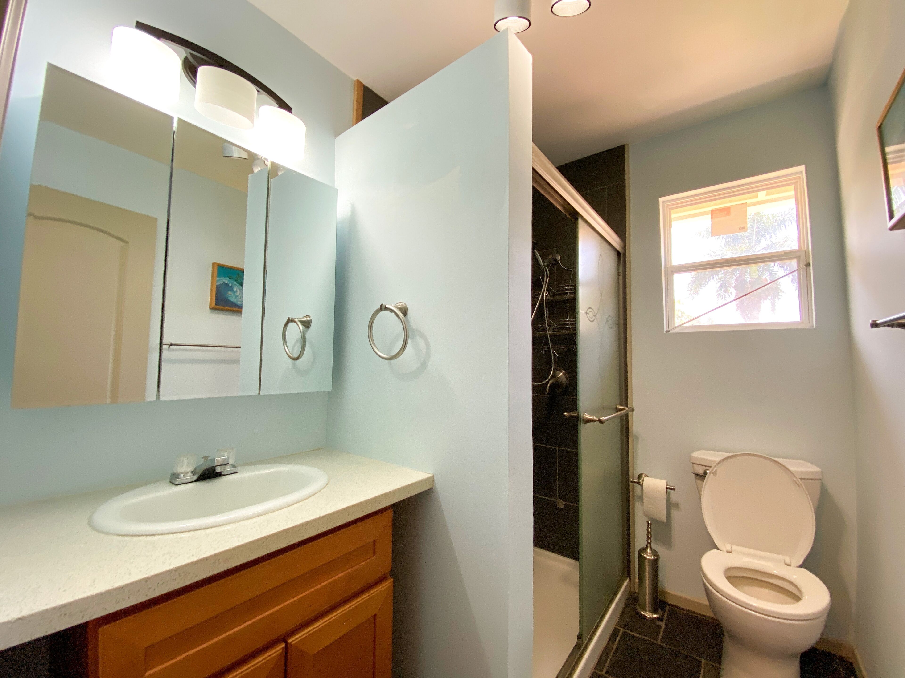 Shower, hair dryer, towels, soap