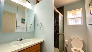 Shower, hair dryer, towels, soap