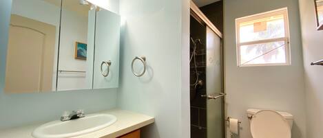 Un baño con lavamanos, espejo, inodoro y ducha.
