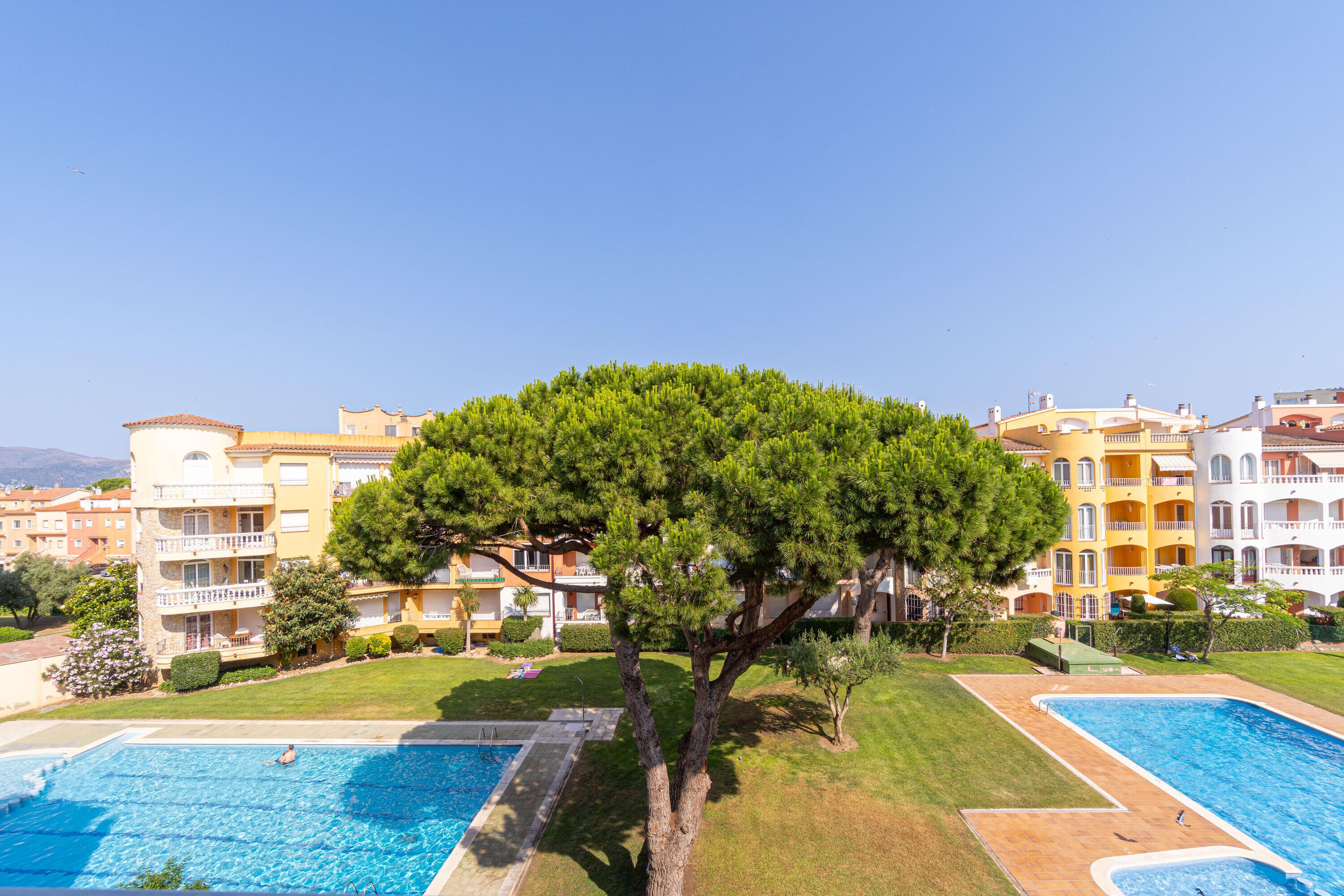 Zona de piscina con dos piscinas, rodeada de césped cuidado y un gran árbol.