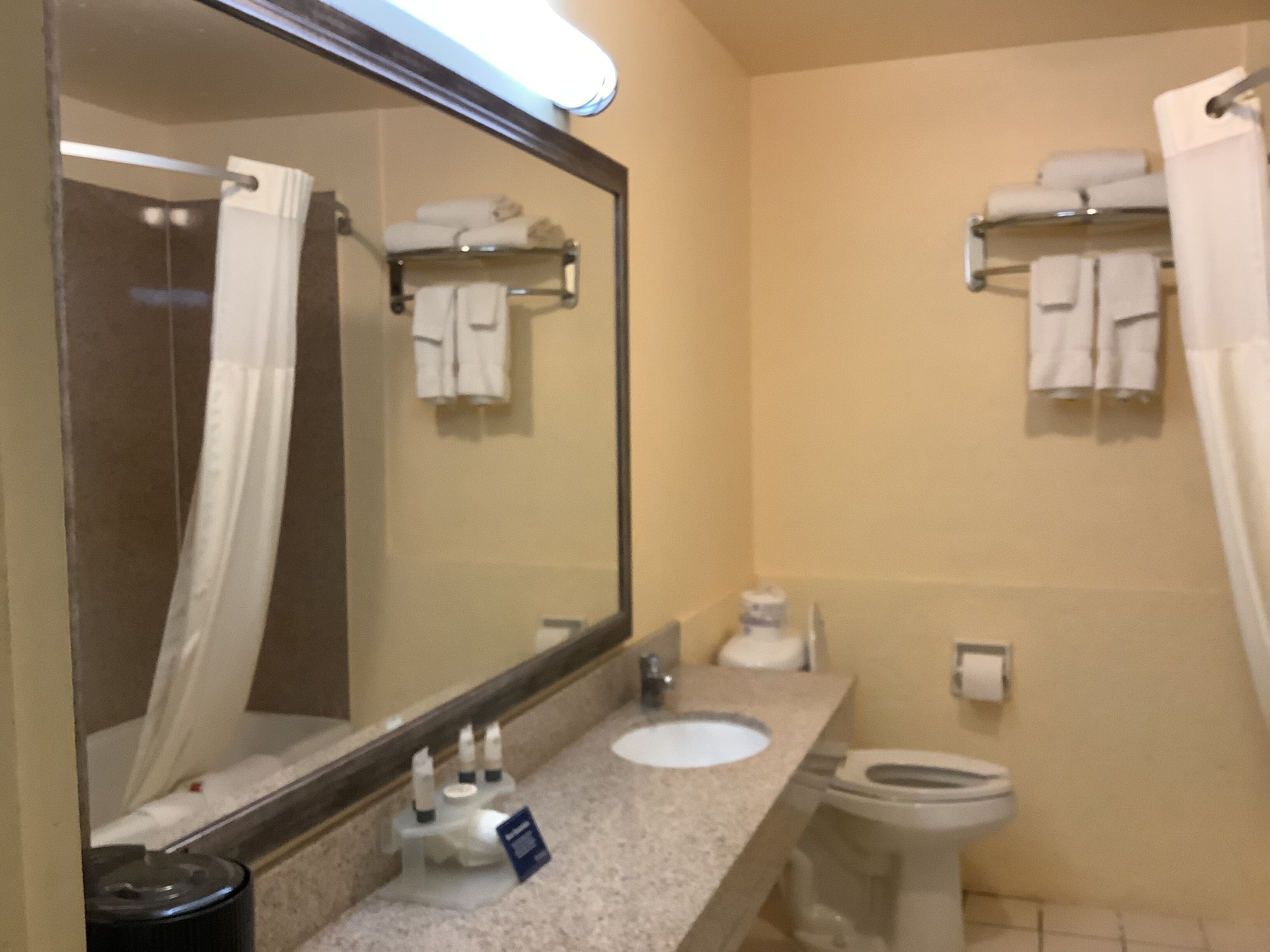 A bathroom with a large mirror, a sink, a toilet, and towel racks.