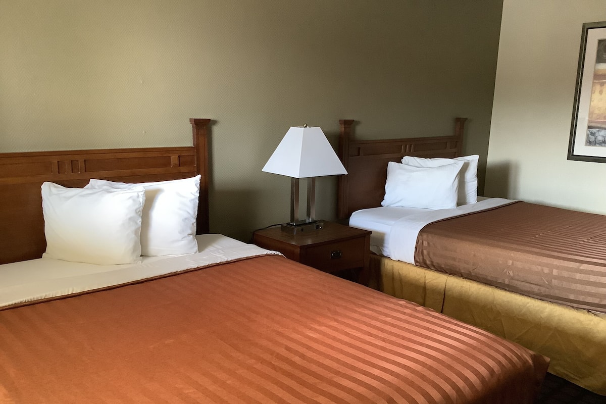 A hotel room with two beds, each with white pillows and brown bedding. There is a nightstand with a lamp between the beds.