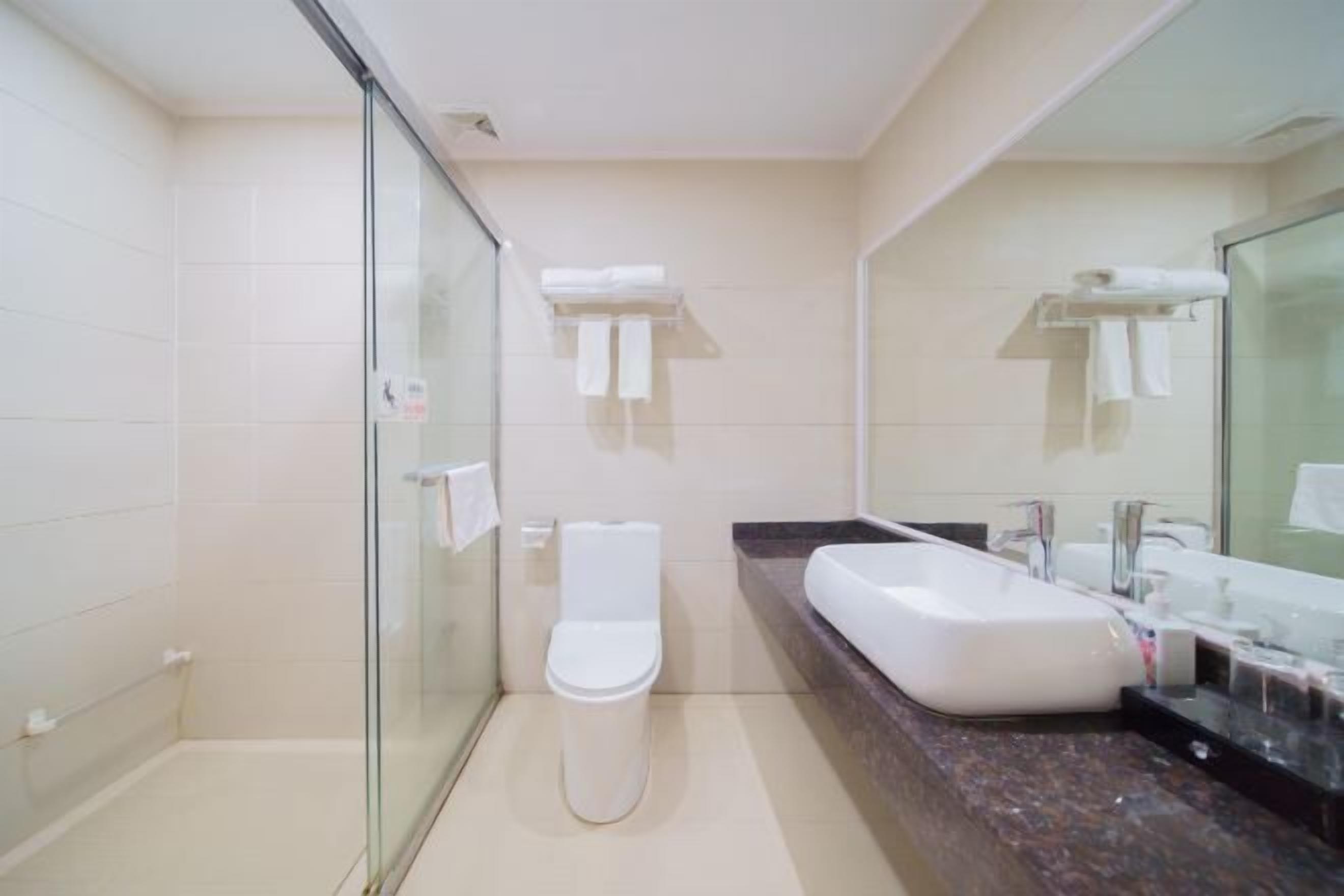 A modern bathroom with a glass shower enclosure, a white toilet, a large sink with a dark countertop, and a mirror.