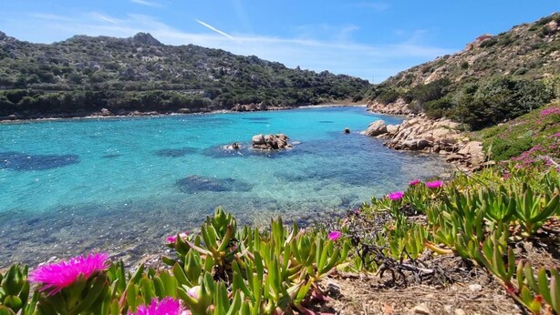 A coastal landscape with clear turquoise waters, rocky shores, and green vegetation. - Grecalotto Apartment (La Maddalena)