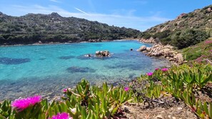 A coastal landscape with clear turquoise waters, rocky shores, and green vegetation. - Grecalotto Apartment (La Maddalena)
