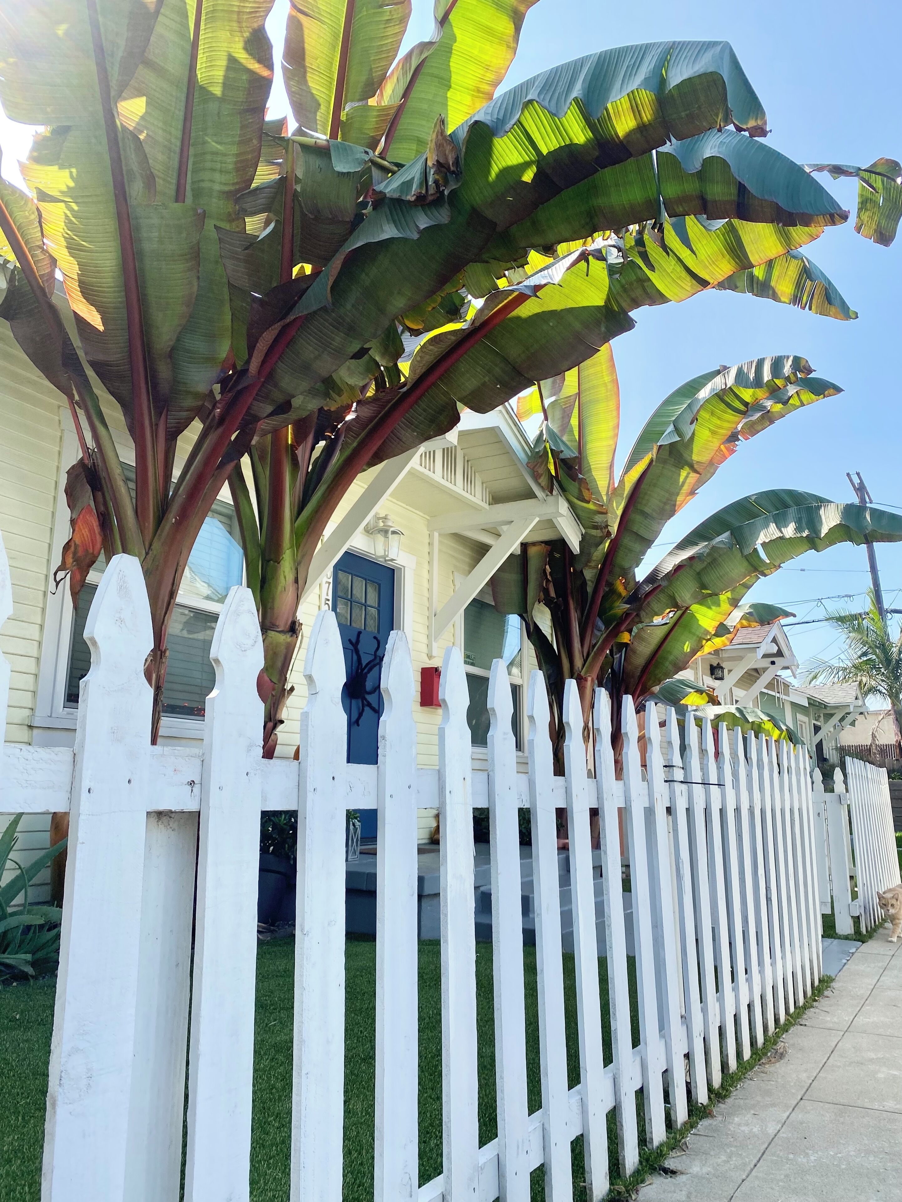 LBC Paradise bungalow w/AC -5 min from beach Dog friendly! 🐶
