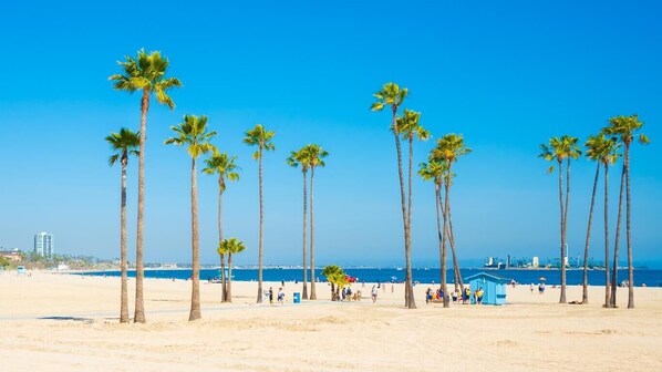 Camastros y toallas de playa 