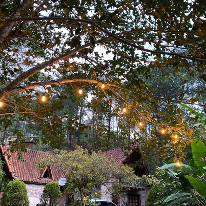 CHALET HOUSE