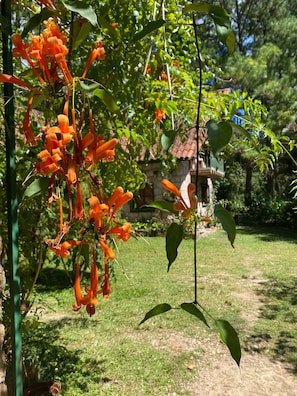 Dettaglio esterni