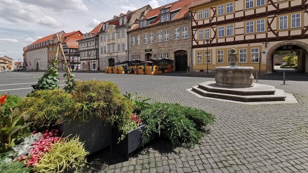 Une place pavée, bordée de bâtiments historiques, avec une fontaine et des parterres de fleurs.