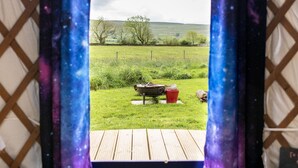 A wooden deck with a grill and a red bucket, overlooking a grassy field with trees and a fence. - Kestrel Yurt, with hot tub, Hawes, Yorkshire Dales (Askrigg)