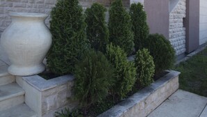 A building with a stone facade, a large planter, and a staircase leading to an upper level. - Helena Apartments (Budva)
