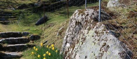 Áreas de la propiedad