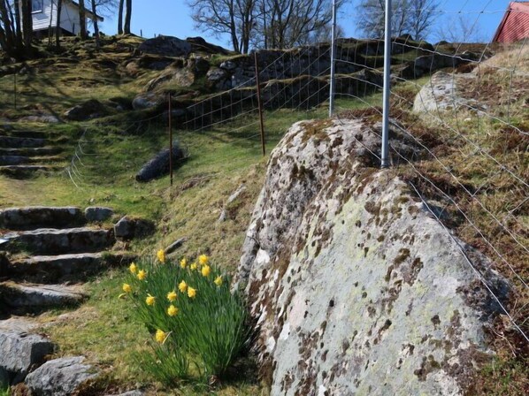 Property grounds - Sjøhytta by Interhome (Austevoll)