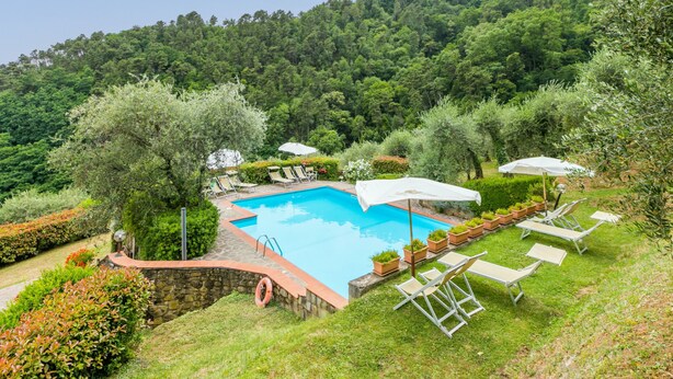Ein Swimmingpool, umgeben von Liegestühlen und Sonnenschirmen, mit üppigem Grün und einem bewaldeten Hügel im Hintergrund.