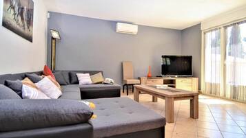 TV connectée, cheminée, lecteur de DVD