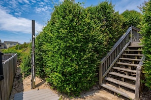 A wooden staircase leading up to a wooden deck, surrounded by dense green foliage. - Barefootin'- Oceanfront, private pool, hot tub, pool table, private walkway to the beach! (Nags Head)