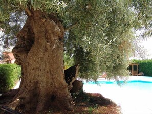 Land view from property