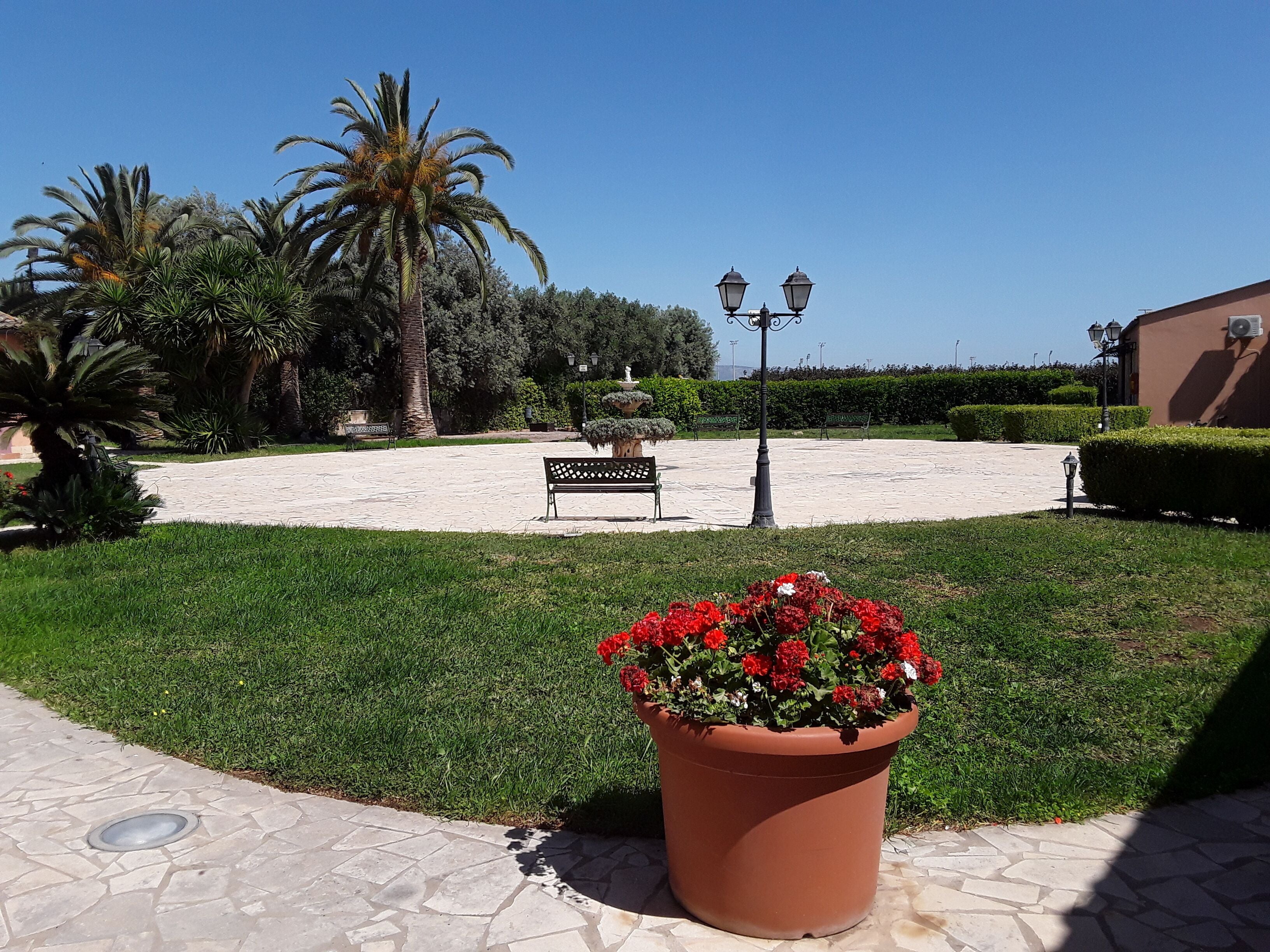 A landscaped area with a paved walkway, benches, and a large potted plant with red flowers.
