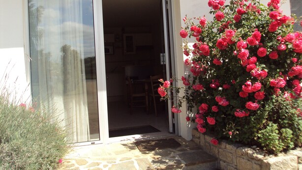 Una casa con un ingresso in pietra, una porta scorrevole in vetro e un cespuglio di fiori rossi.