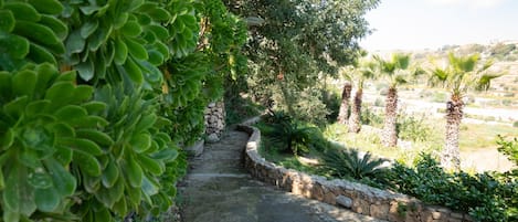 Standard Villa, Multiple Bedrooms (Villeleynah Amazing Gozitan Villa +) | Property grounds