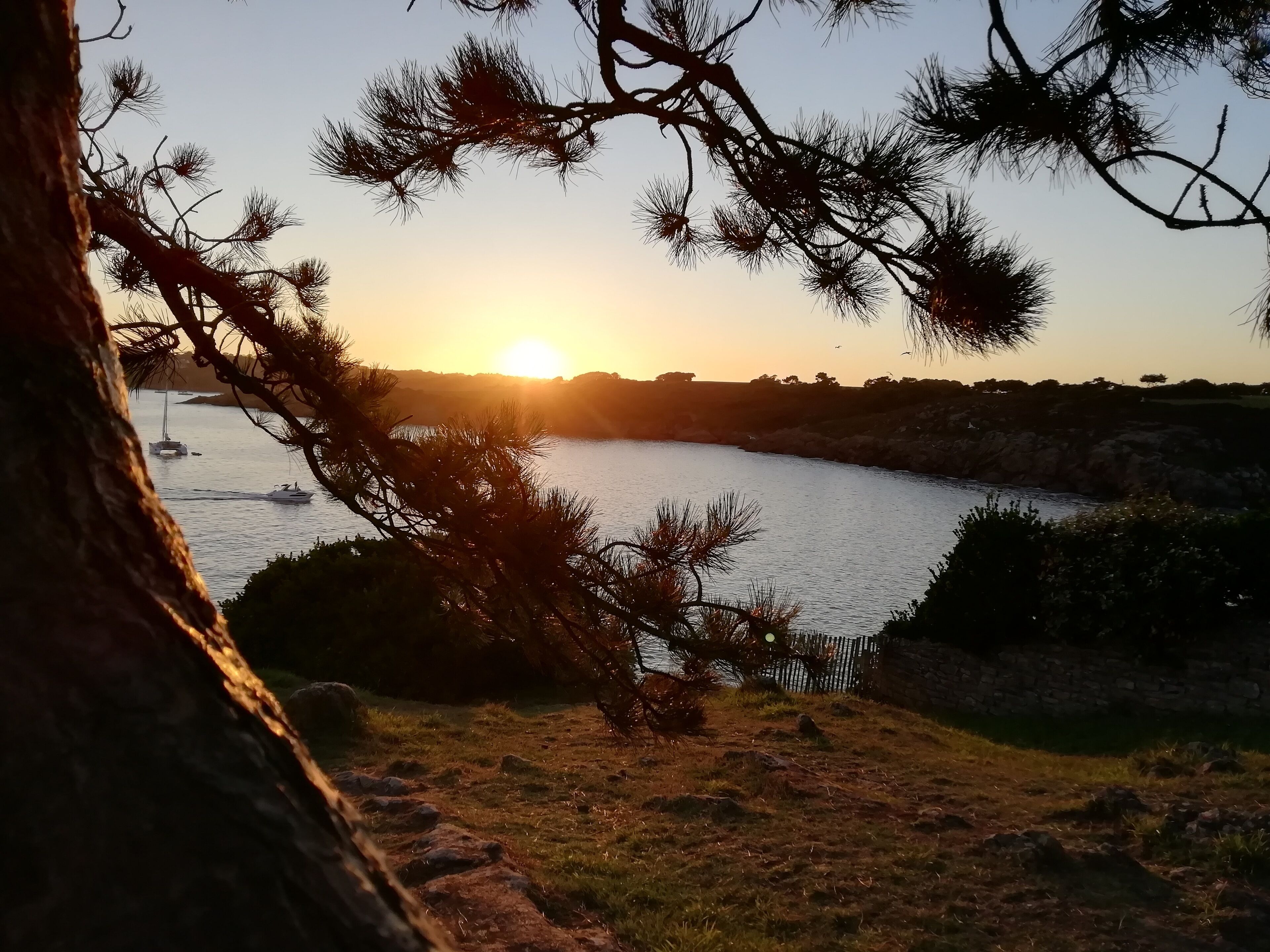 A sunset over a body of water with boats, surrounded by trees and a stone wall.