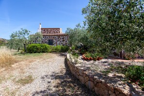 Área da propriedade