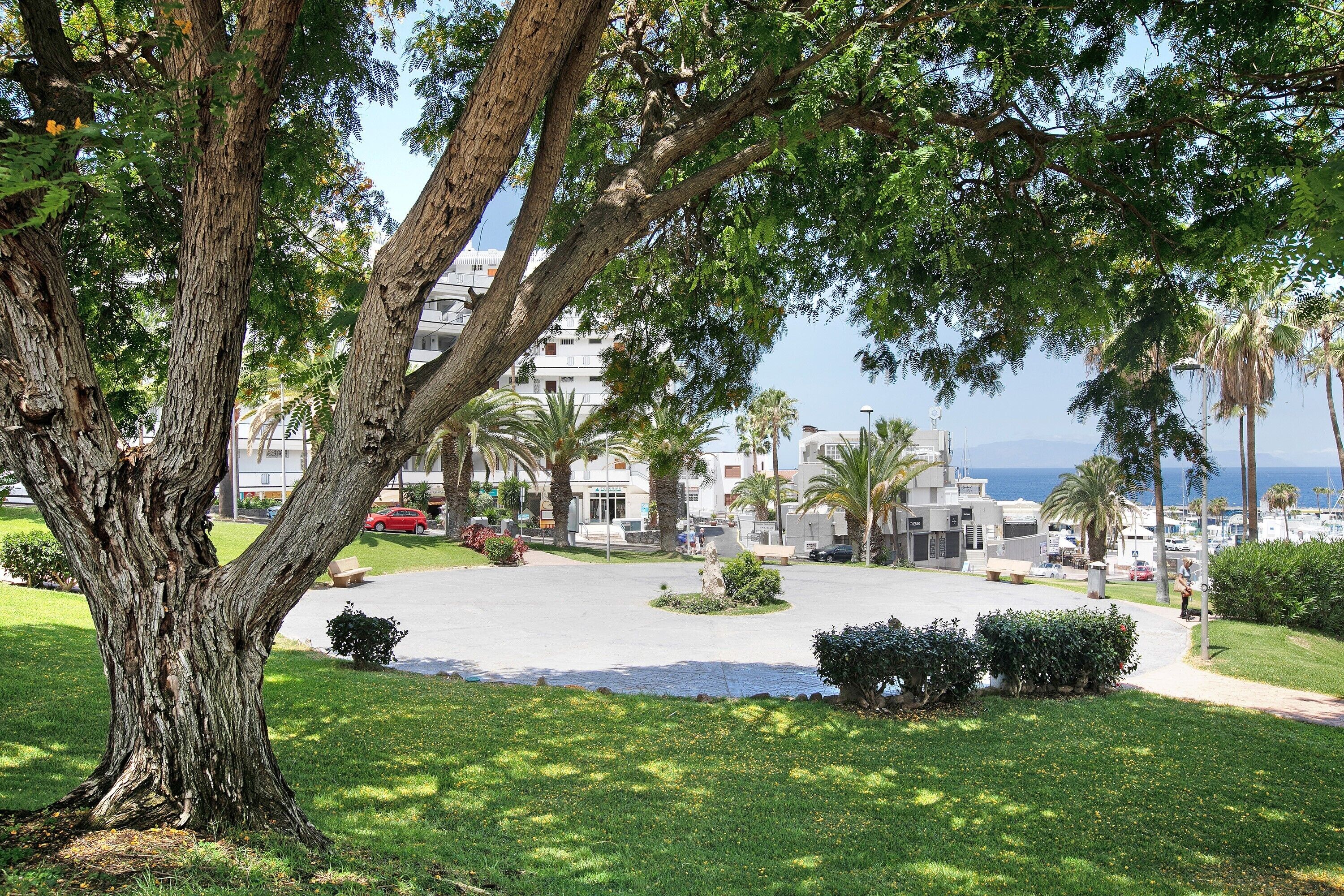 Une cour bordée d’arbres, d’où l’on aperçoit la mer et des bâtiments en arrière-plan.