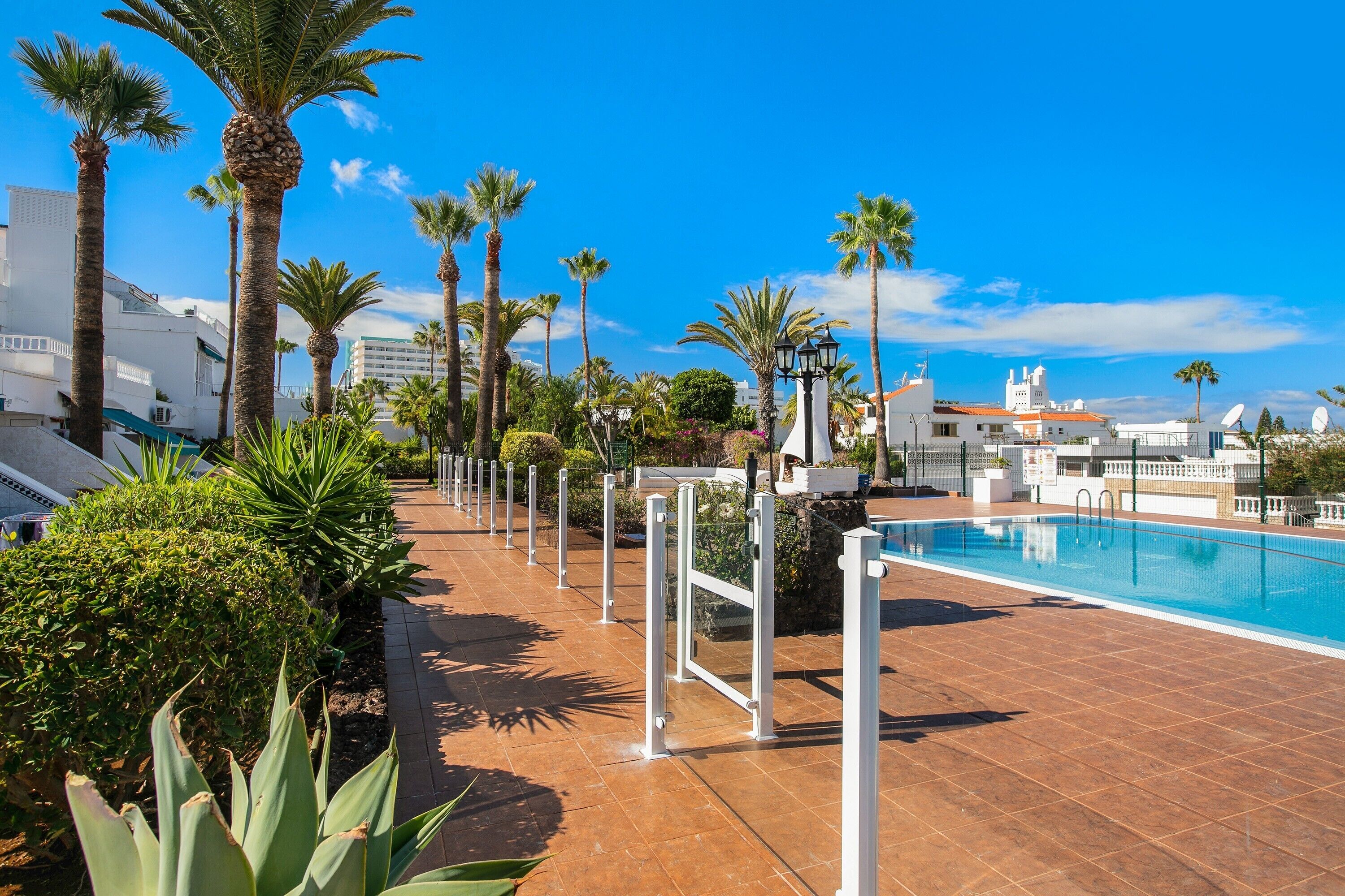 Une piscine dotée d’une terrasse carrelée, entourée de palmiers et surplombée d’un ciel bleu azur.
