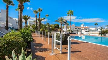 Une piscine dotée d’une terrasse carrelée, entourée de palmiers et surplombée d’un ciel bleu azur.